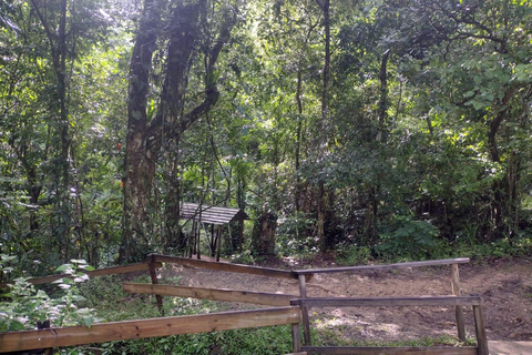 Porto Rico : Randonnée sur la rivière Gozalandia et visite des chutes d&#039;eau