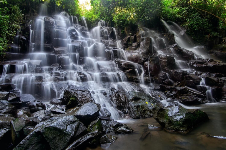 Ubud: Cascadas, Templo del Agua y Terrazas de Arroz Tour privadoTour privado con entrada Tikets