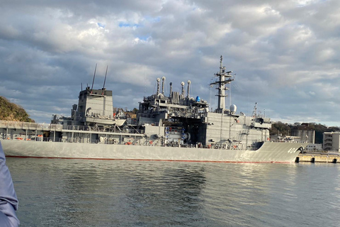 Yokosuka: Boat Trip to Natural Island and Naval Port Cruise