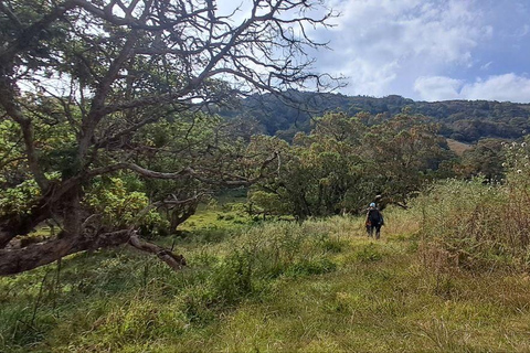 Addis Ababa: 6-Day Abijata Shalla NP & Bale Mountains Tour