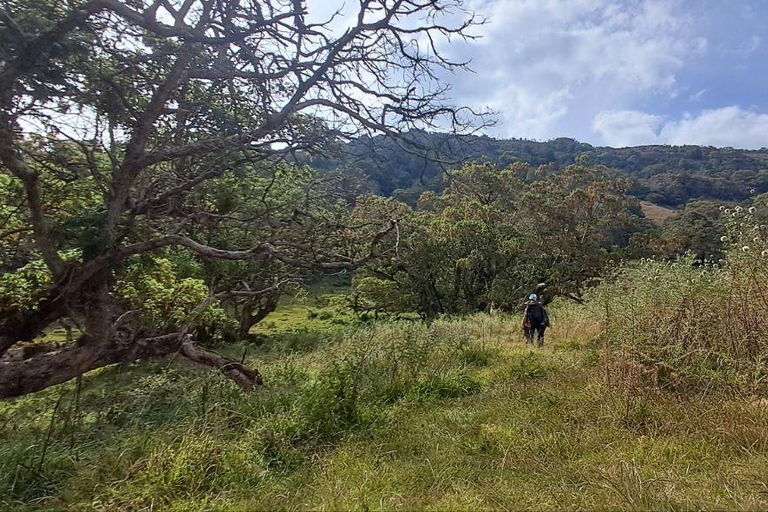 Addis Ababa: 6-Day Abijata Shalla NP & Bale Mountains Tour