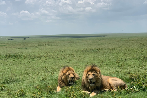 Tansania: 5-tägige private Mittelklasse-Safari mit Unterkunft