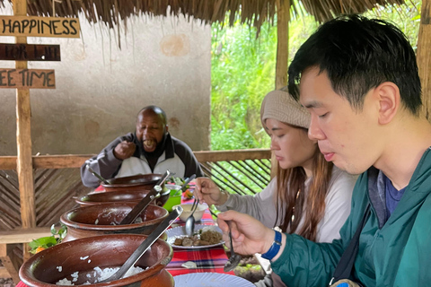 Arusha |Moshi: tour del villaggio Maasai, cascate e caffèArusha: villaggio Masai, cascata Materuni e tour del caffè