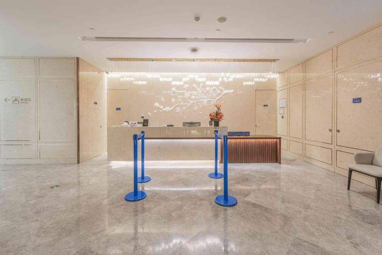 Shanghai: Pudong International Airport Lounge By DragonPass T1 International Departure: First Class Lounge No.39