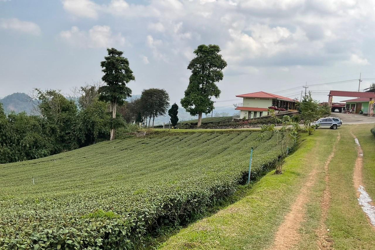 Chiang Rai: Mountains Discovery Doi Mae Salong & Doi Tung Mountains Discovery:Doi Mae Salong & Doi Tung (Private Tour)