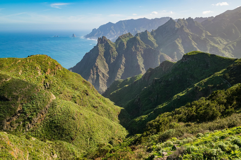 From Costa Adeje or Santa Cruz: Contrasts of Tenerife Tour From Costa Adeje - Spanish tour