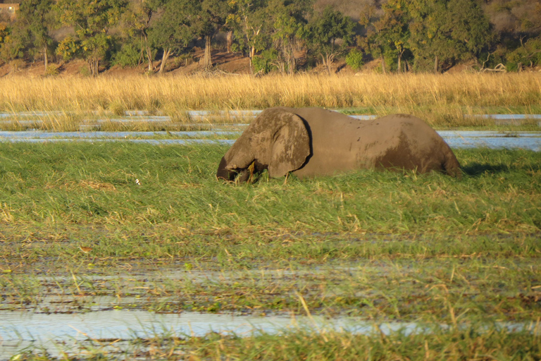 Victoria Falls: 2-Day Safari & Stargazing Experience