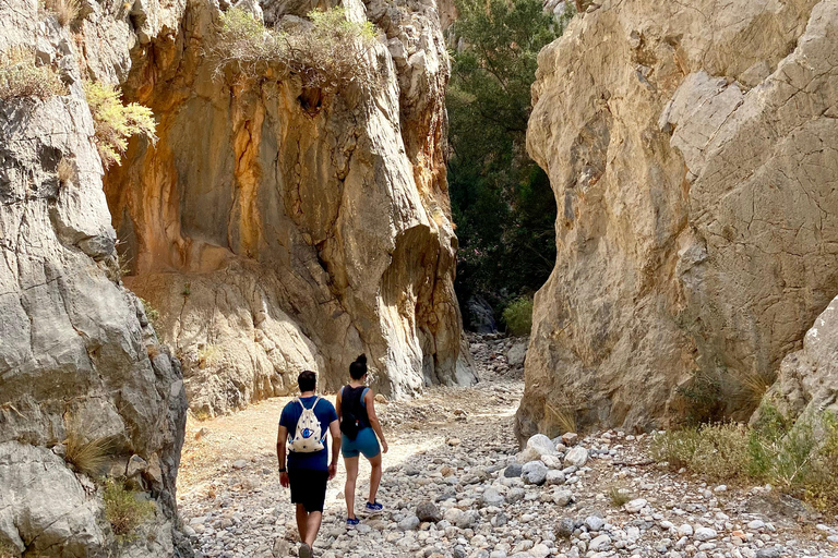 Creta: Tour guiado de senderismo por el Cañón de Kritsa