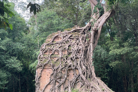 Siem Reap para explorar Sambor Prey Kuk: tesoros ocultos