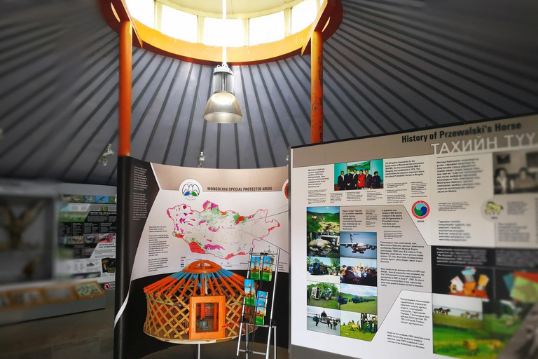 Gandan monastery and Hustai National park-all inclusive tour