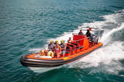 Gibraltar - Ultimate Rib Boat Experience