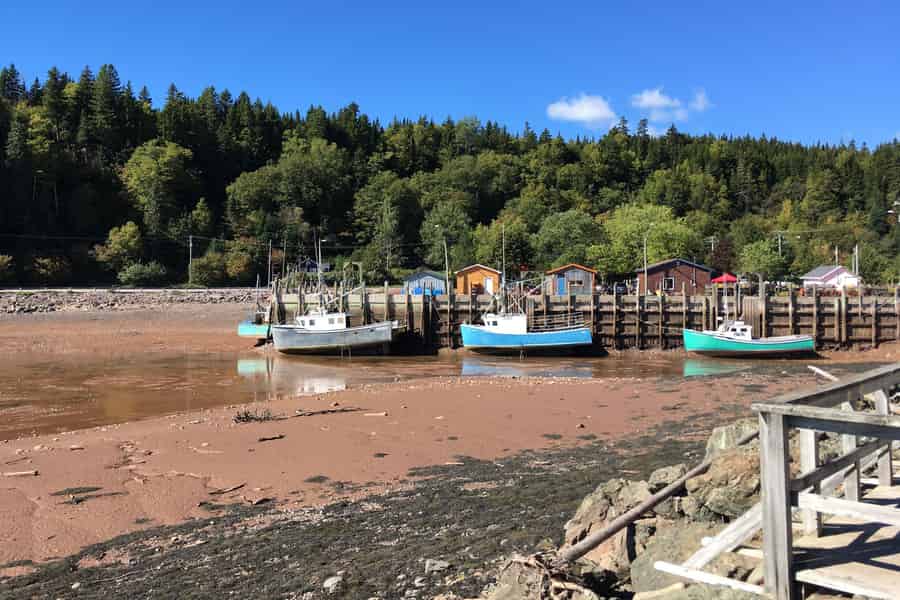 Ab Saint John: Bay of Fundy Busreise für Kreuzfahrtpassagiere. Foto: GetYourGuide