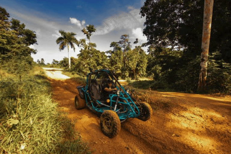 Toa Alta, PR : Aventure en buggy tout-terrain ( ATV )