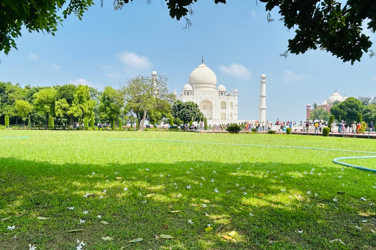 Samma dag Sunrise Agra-tur från Delhi med bilTaxi + guide + Taj Mahal biljett