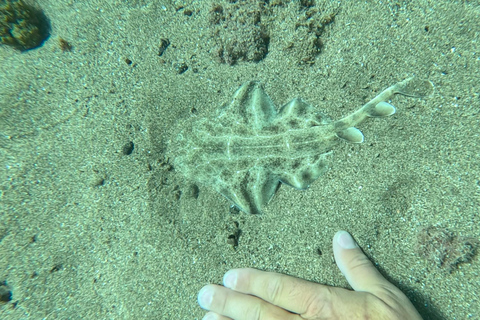 Probeer duiken en beleef een geweldige ervaring op LanzaroteDuiken op Lanzarote in het mooiste gebied