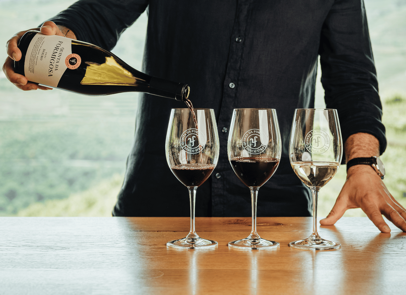 Pinhão: Quinta da Formigosa vingårdstur og vinprøvesmagning