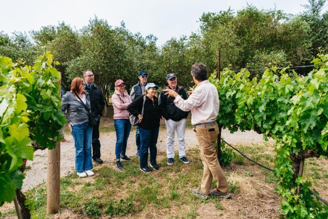 San Francisco: tour vinícola grupo reducido Sonoma con catas