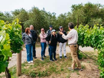 San Francisco: Ruta del Vino de Sonoma con Degustaciones