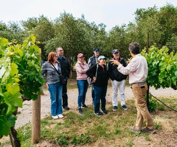 San Francisco: Sonoma Wine Country Tour with Tastings