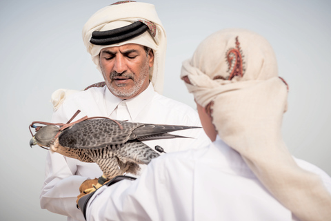 Qatar: Experiência privada de falcoaria com falcoeiros locais