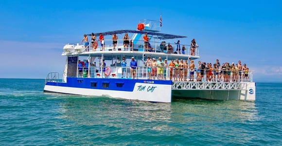 All-Inclusive Catamaran Eco Adventure with Lunch