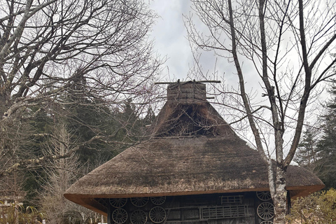 From Kanazawa/Toyama: Shirakawago and Takayama Day Tour