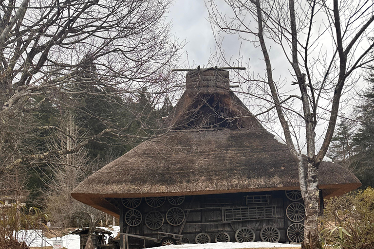 Depuis Kanazawa/Toyama : excursion d&#039;une journée à Shirakawago et Takayama