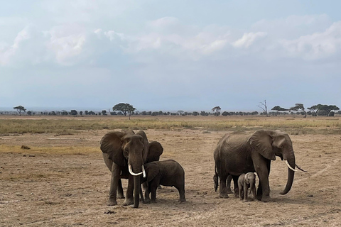 Nairobi: Safari de 3 dias na Reserva Nacional Masai Mara