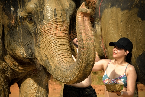 Phuket: Visita de medio día al Santuario de la Selva de Elefantes