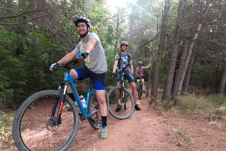 Dénia: Electric Mountain Bike Tour around the Montgó mountain