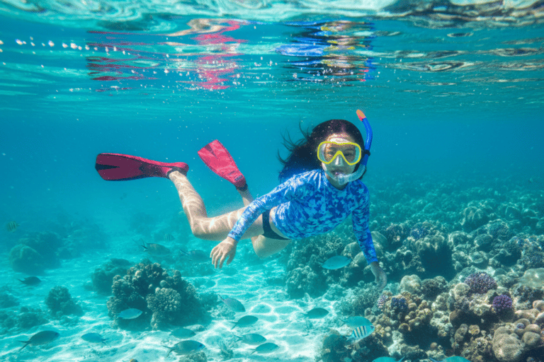 Mirissa: Ocean Magic Snorkeling with Turtles