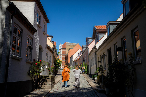 Odense Viking Walk: Selbstgeführter Audiowalk mit StoryHunt ⚔️Dänisch