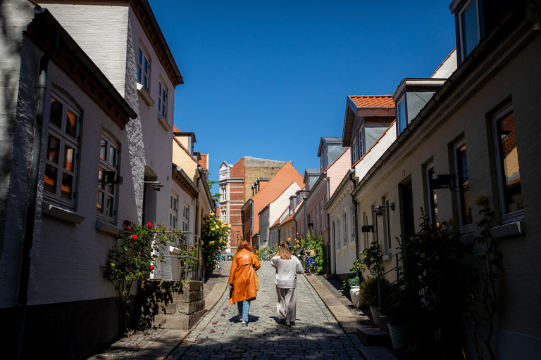 Passeggiata vichinga di Odense: Passeggiata audioguida con StoryHunt ⚔️Inglese