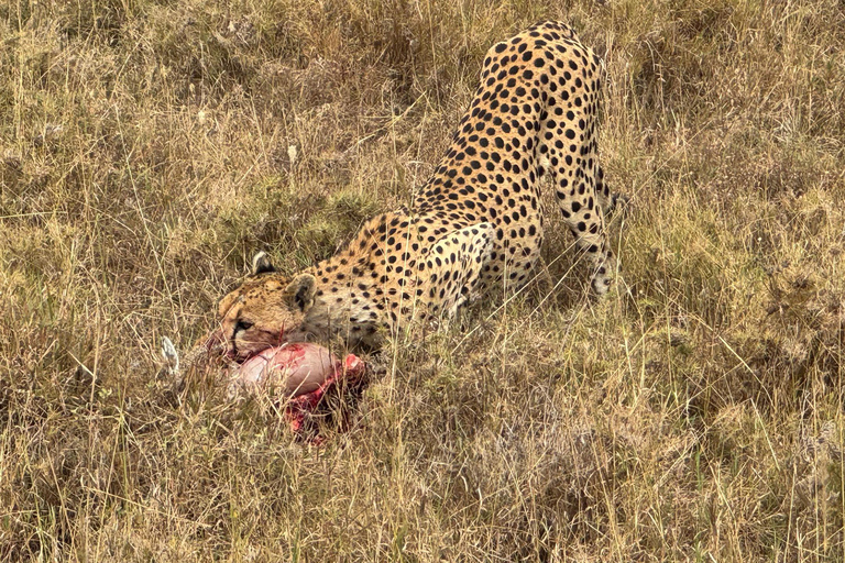 12 Days Tanzania Adventure: Safari, Culture &amp; Mountains