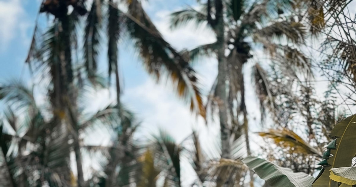 Ubud: ATV Quad Biking Aventura cu ATV cu ghidaj turistic | GetYourGuide