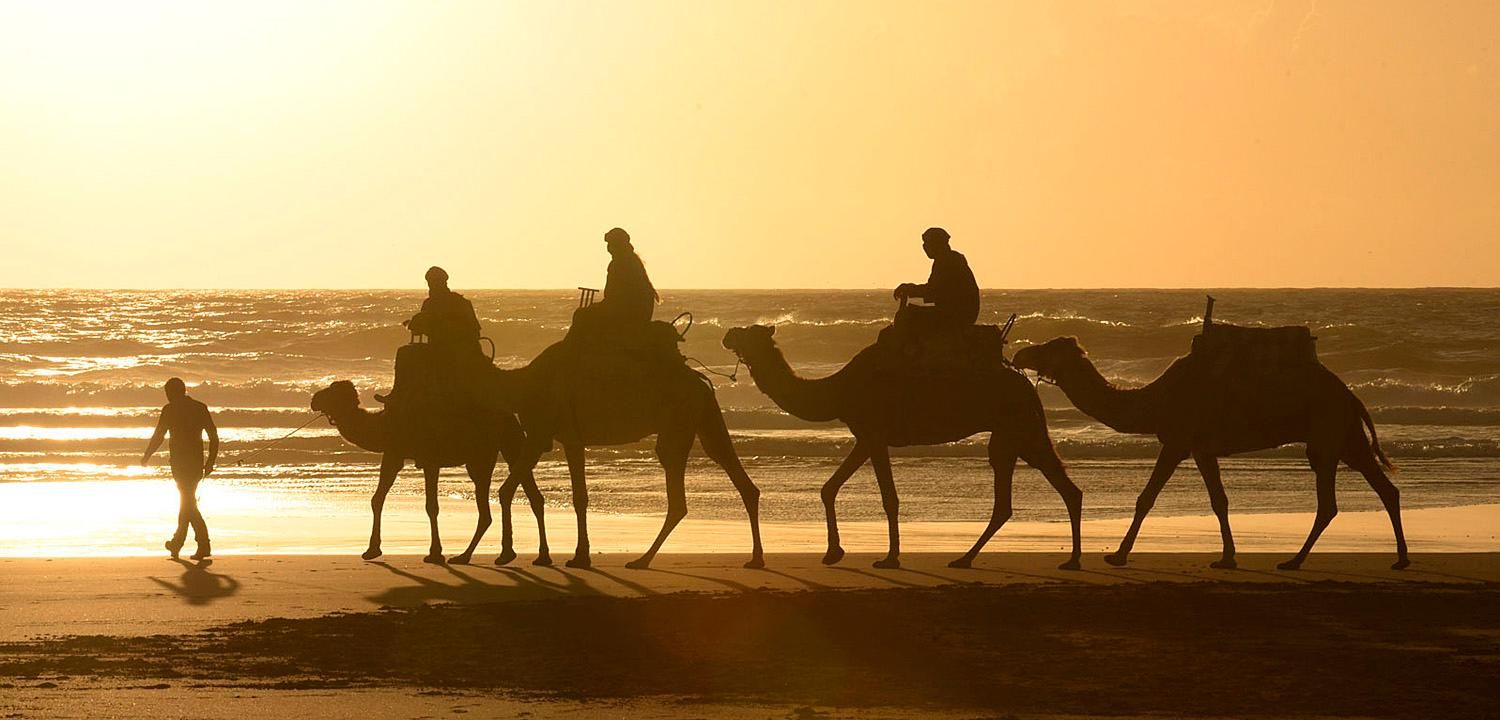 Essaouira: 2-stündiger Kamelritt am Strand und in den Dünen