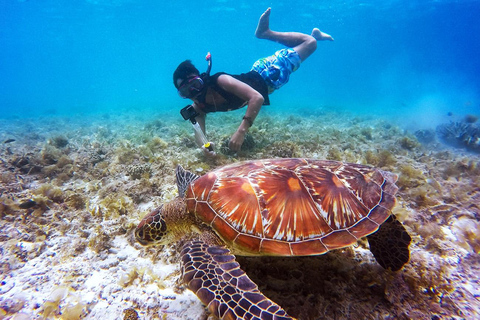 Desde Bali: Nusa Penida Excursión en lancha rápida con snorkel + tierraExcursión compartida en lancha rápida Premium con punto de encuentro