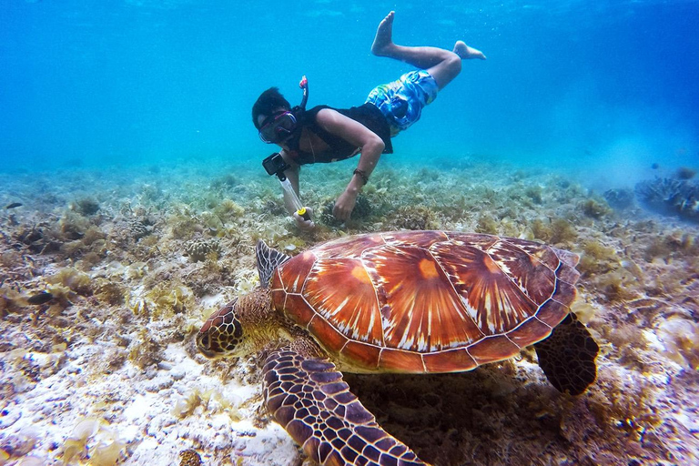 Desde Bali: Nusa Penida Excursión en lancha rápida con snorkel + tierraExcursión compartida en lancha rápida Premium con punto de encuentro