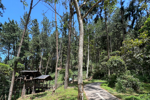 Colombo to Ambuluwawa Tower Private Day Trip 12 Hours