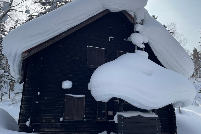Shikotsu-Toya National Park: Guided Snowshoe Hike and Onsen Shikotsu-Toya National Park: Guided Snowshoe Hike and Onsen.