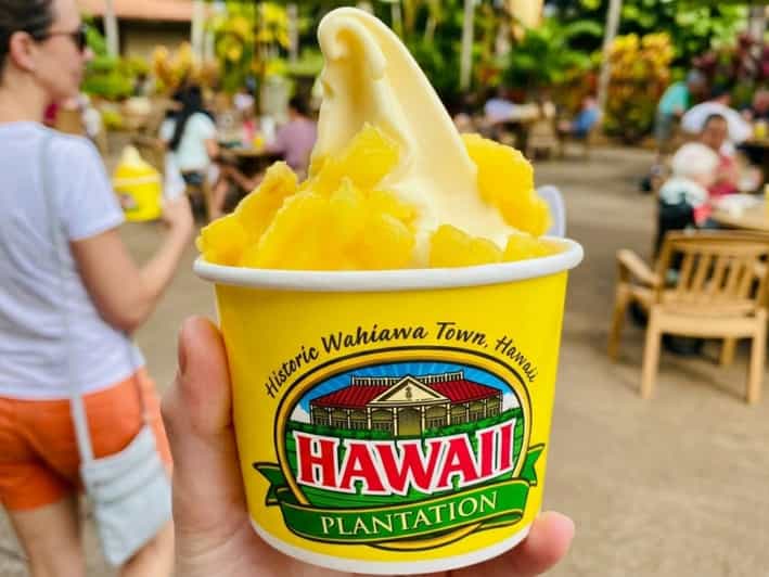 Oahu: Dole Plantation, Rum Tasting, and 3 Zipline Tour