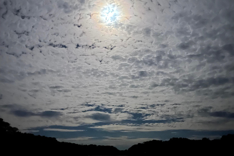 Isla Cañas: Newborn Turtle Release Tour with Breakfast