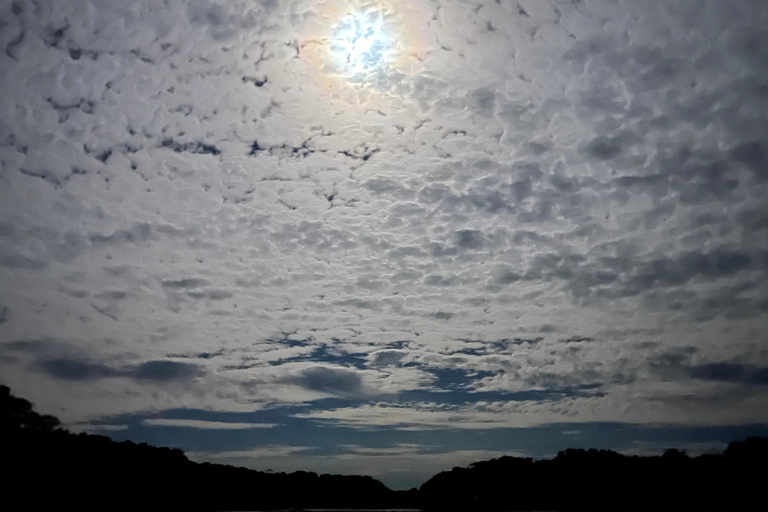 Isla Cañas: Newborn Turtle Release Tour with Breakfast