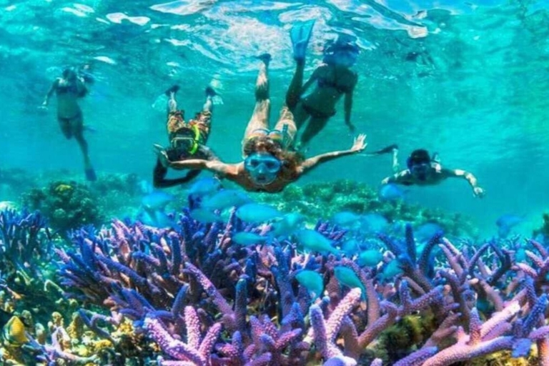 Gili-eilanden: onderwaterstandbeeldencruise en snorkelen