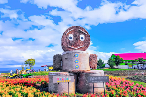 Hokkaido Summer Day Trip: Patchwork Road&Shikisai no Okas Depart from Sapporo Tokyu REI Hotel (without lunch)