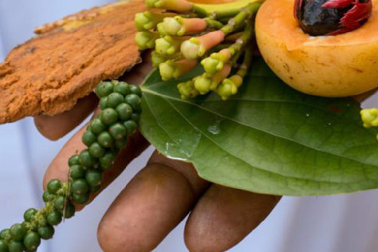 Zanzibar: Spice Farm Tour No hotel Pick up and drop off transfer