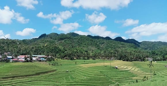 Bohol Candijay Rice Terraces, Water Falls & Anda Beach