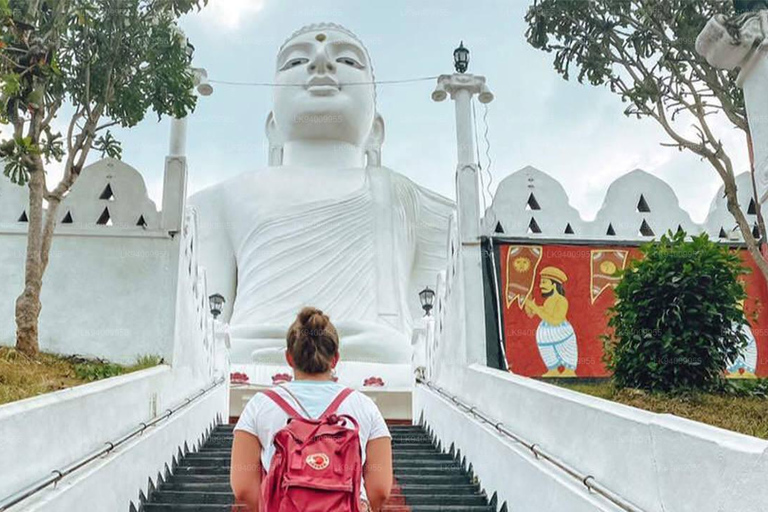 2 Day Tour Pinnawala/Sigiriya From Kandy 2 Day Tour Ac Mini Van