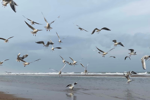 Normandy D-Day Beaches: Small Group Tour from Paris