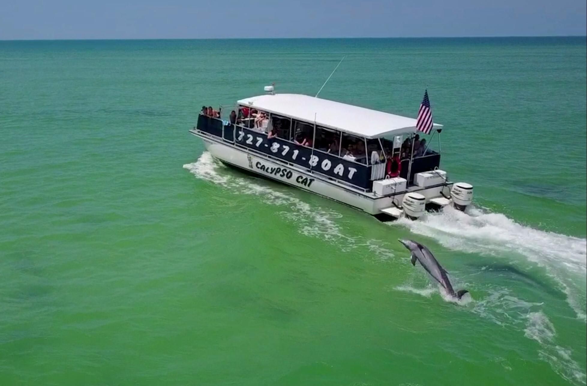 4-stündige Egmont Key Island Tour mit Delfinen und Schnorcheln